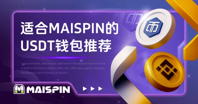 适合 MAISPIN 的 USDT 钱包推荐|MAX、币安比较
