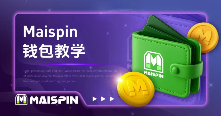 Maispin 钱包教学|支援钱包与出入金方式